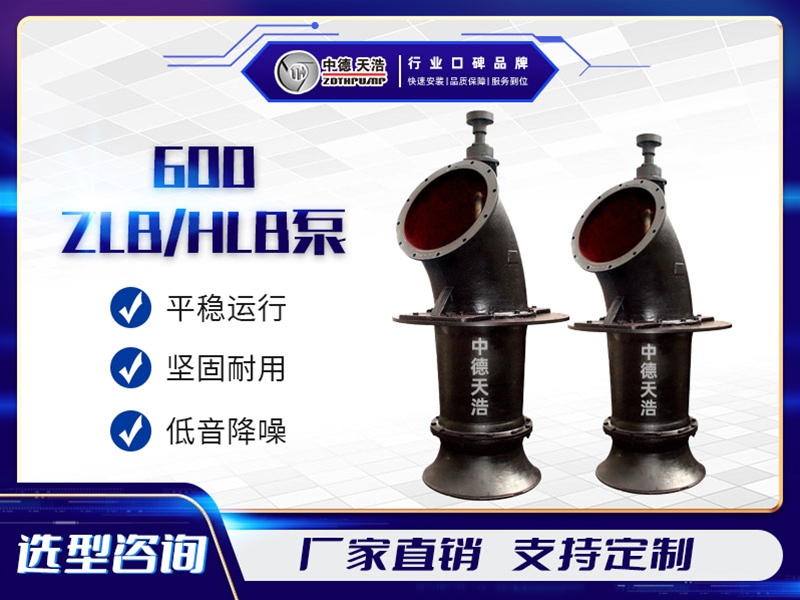 600ZLBHLB泵