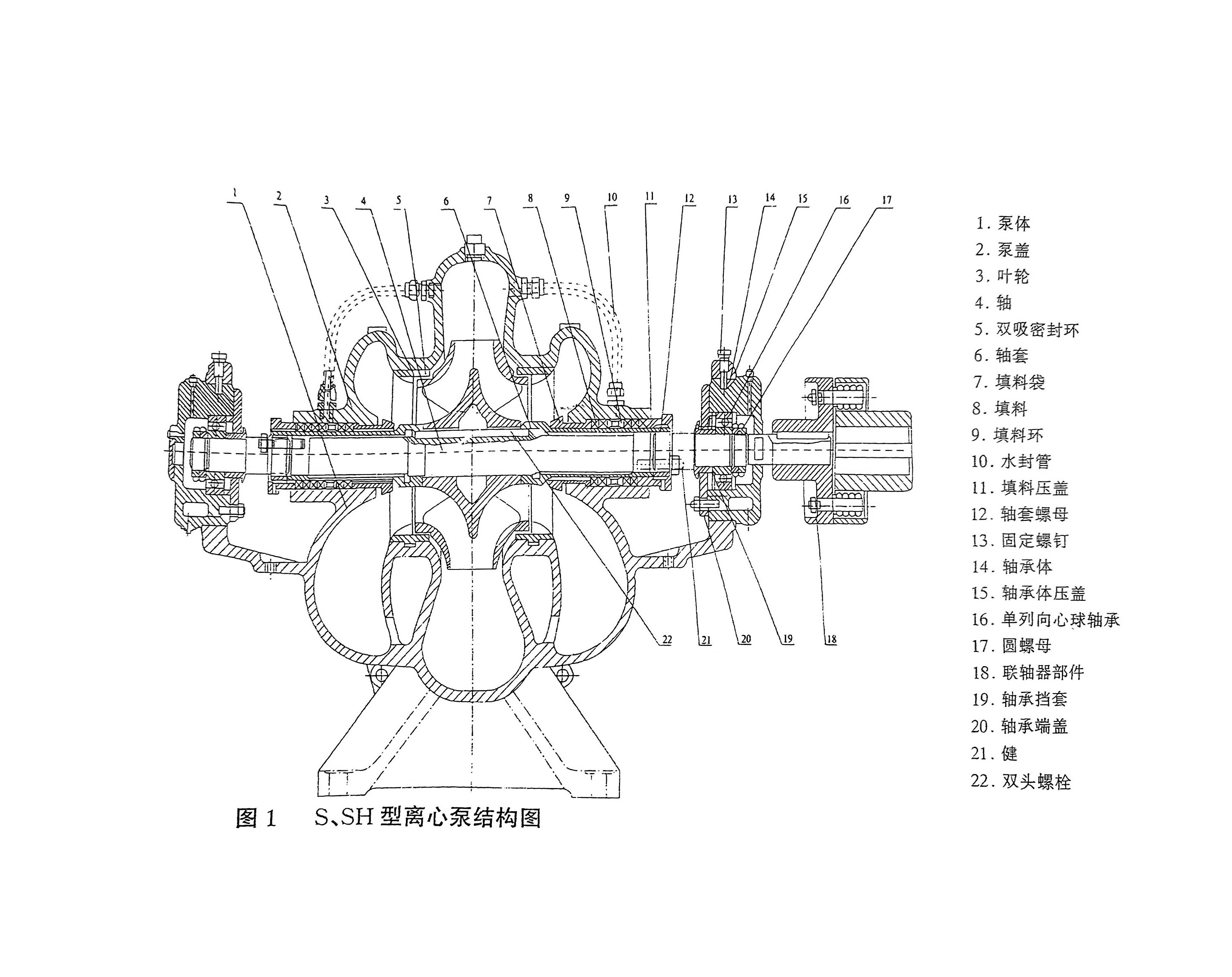  水泵结构